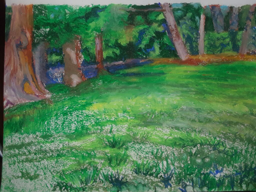 Palo Alto Park 1